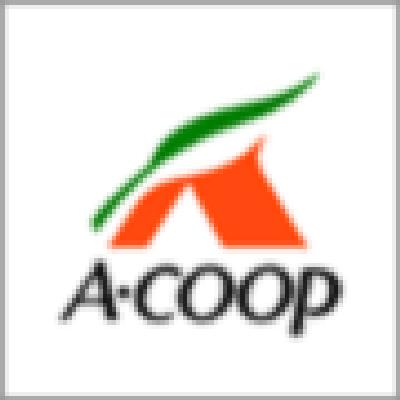 スーパー　Aコープ（スーパー）まで344m