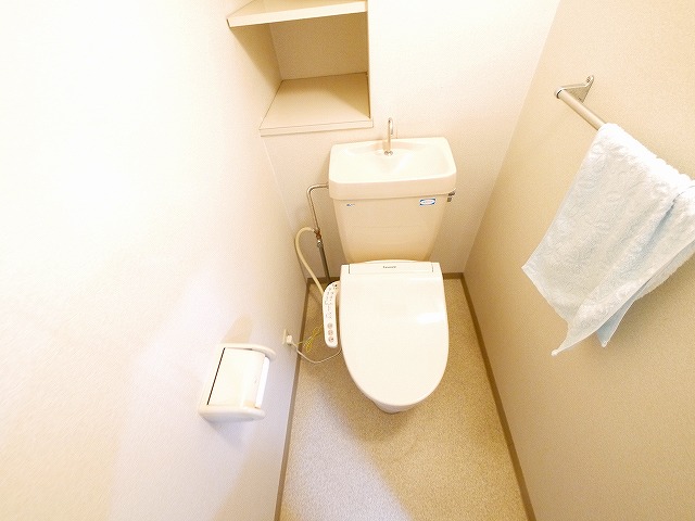 トイレ　トイレも気になるポイント