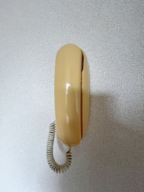 セキュリティ　インターホン設置済み