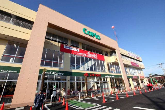 スーパー　スーパーアルプス 羽村店（スーパー）まで591m