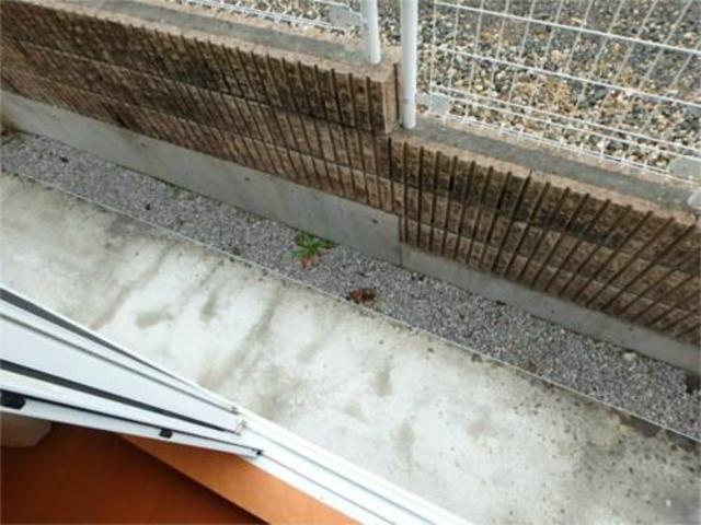 バルコニー　１階の写真