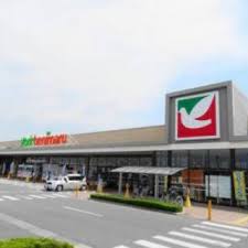 スーパー　ヨークベニマル針ヶ谷店（スーパー）まで763m