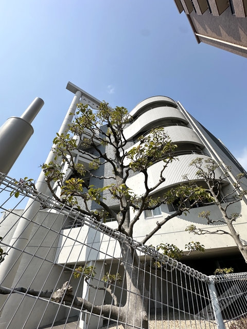 建物外観　デザイン賞を受賞しているオシャレな建物ですす♪♪