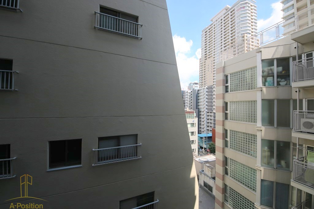 眺望　プレサンス大手前ピリオド