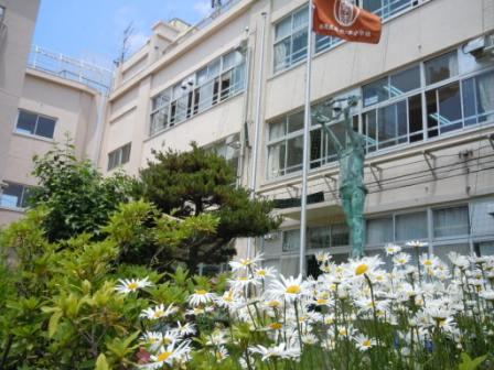 小学校　杉並区立松ノ木小学校（小学校）まで412m