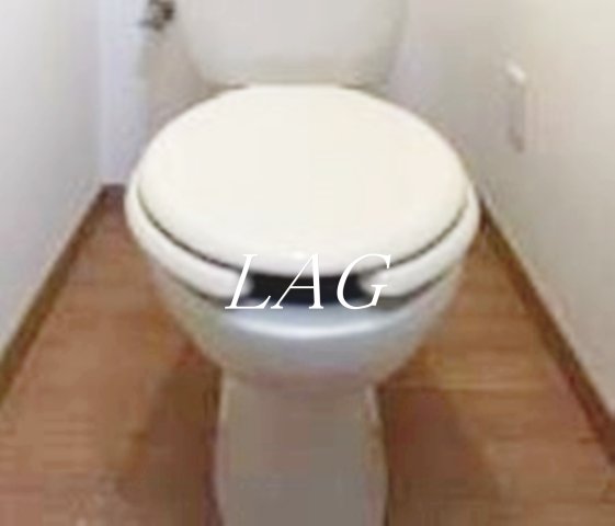 トイレ　トイレです。