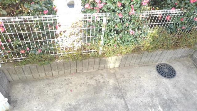庭