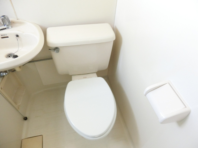 ドミールのトイレ写真