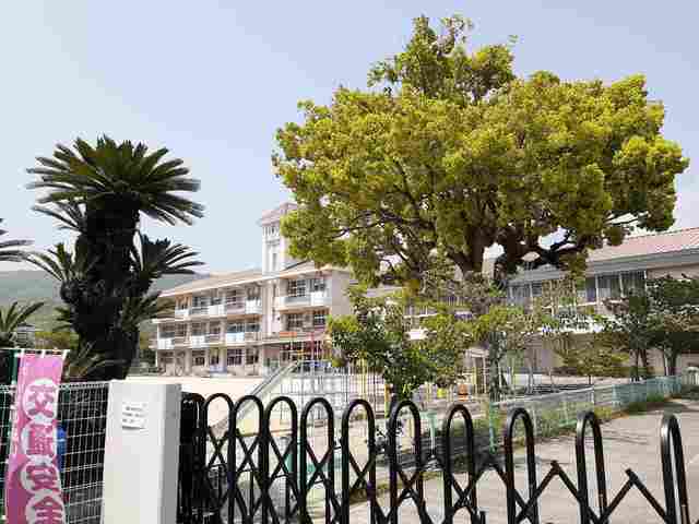 小学校　玉野市立山田小学校（小学校）まで148m