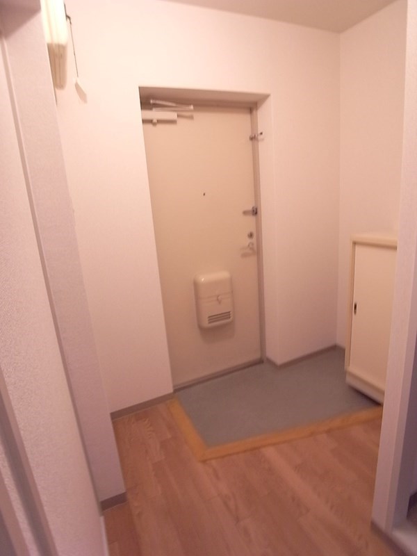 玄関　※他のお部屋の写真です。