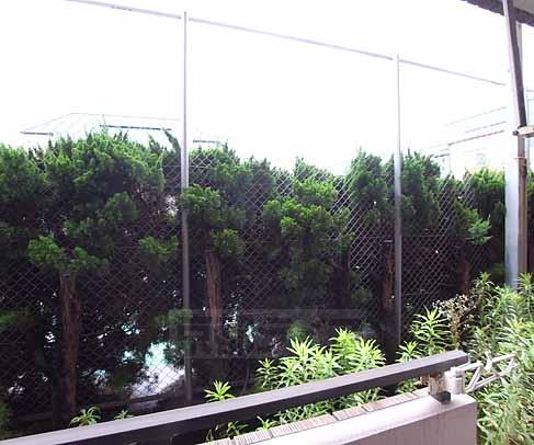 眺望　視線も大丈夫です。