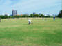 公園　梅小路公園（公園）まで526m