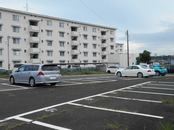 その他　隣地駐車場（その他）まで10m