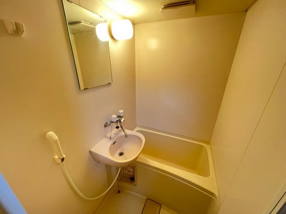 洗面設備　※別号室の写真です