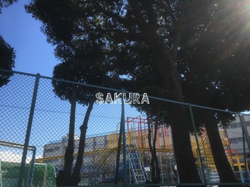 小学校　横浜市立大口台小学校（小学校）まで307m