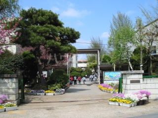 小学校　柏市立柏第一小学校（小学校）まで533m