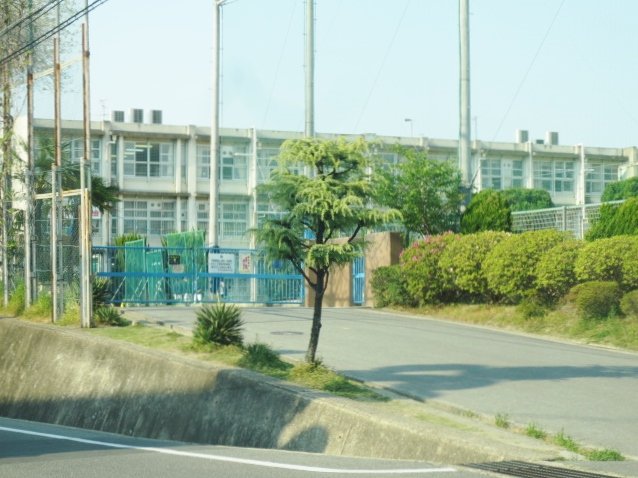 中学校　枚方市立枚方中学校（中学校）まで1321m
