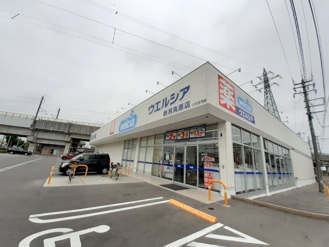 ドラックストア　ウエルシア新潟鳥原店（ドラッグストア）まで700m