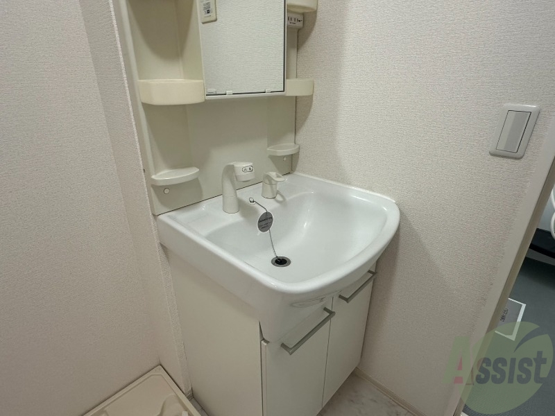 洗面設備　洗面所は独立しており、シャワー付きです。