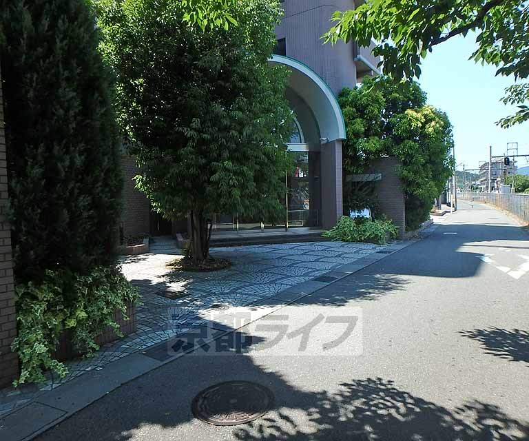 その他　マンション前の道路です