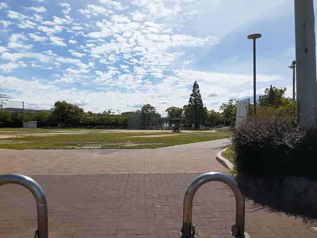公園　大池公園（公園）まで710m