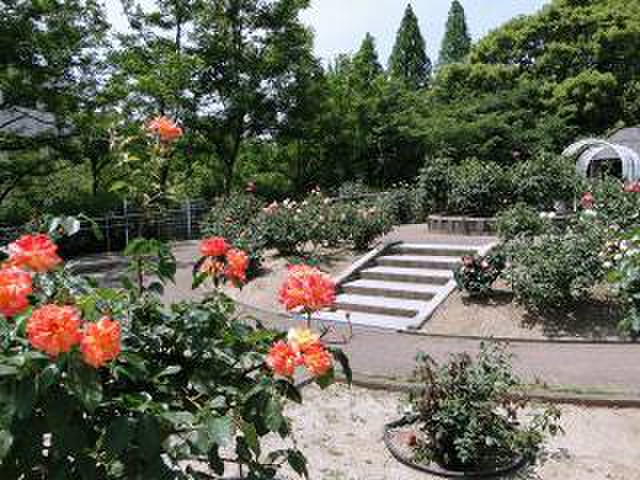 公園　片山公園（公園）まで250m
