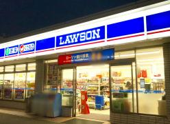 コンビニ　ローソン 八尾光南町二丁目店（コンビニ）まで522m