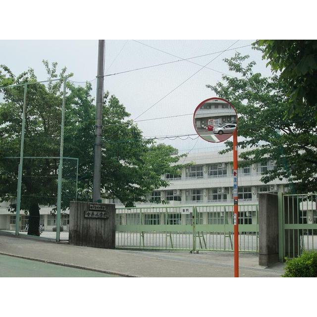 小学校　金井小学校（小学校）まで509m