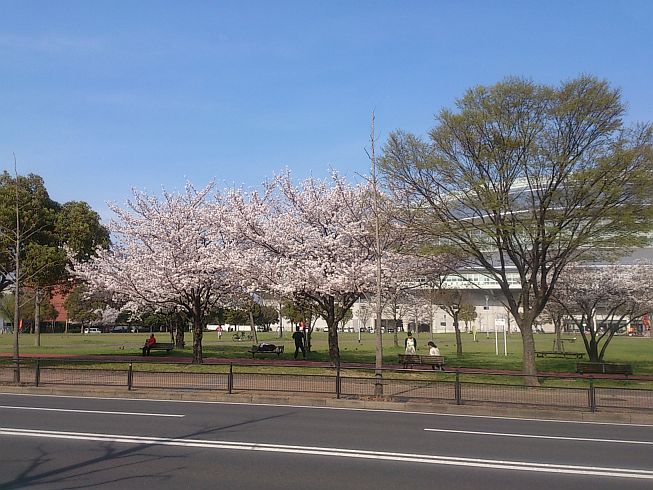 公園　三萩野公園（公園）まで486m