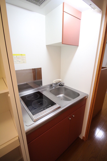 キッチン　※別号室の写真です