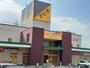 ショッピングセンター　アピタ　稲沢店（ショッピングセンター）まで1400m