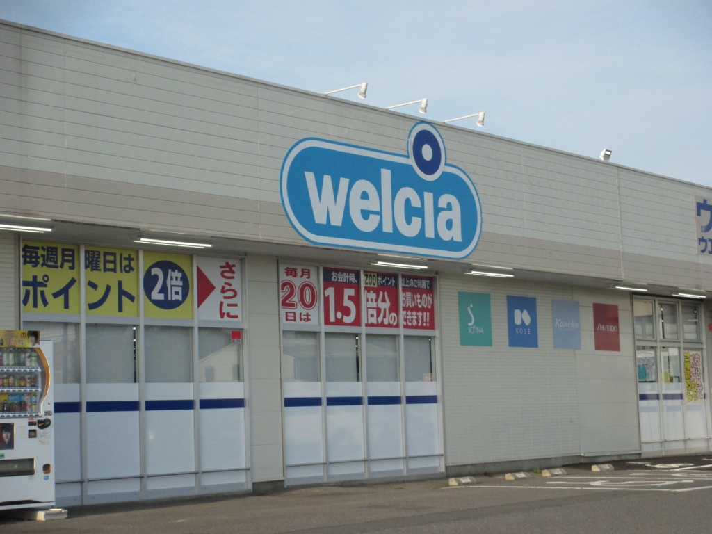 ドラックストア　ウエルシア常総石下店（ドラッグストア）まで1003m