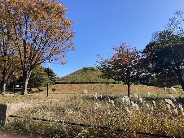 公園　川和富士公園（公園）まで10m