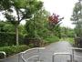 公園　石川東公園（公園）まで1413m