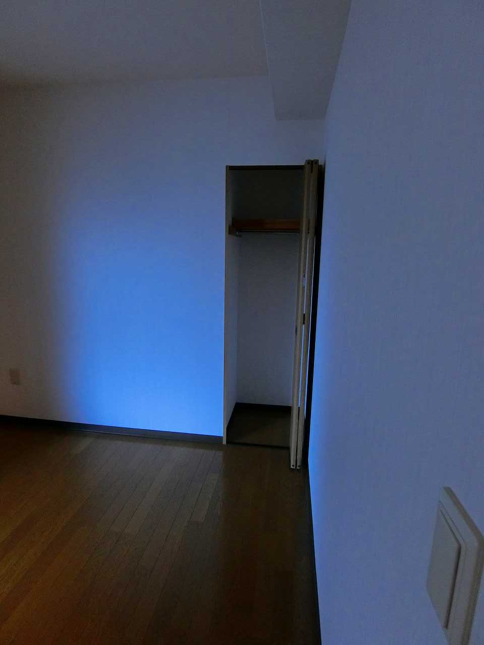 収納　※同物件、別部屋の写真です。