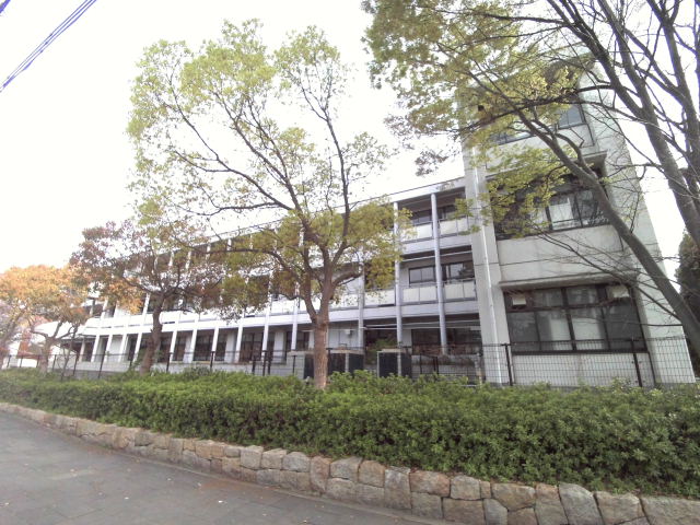 中学校　神戸市立向洋中学校（中学校）まで1336m