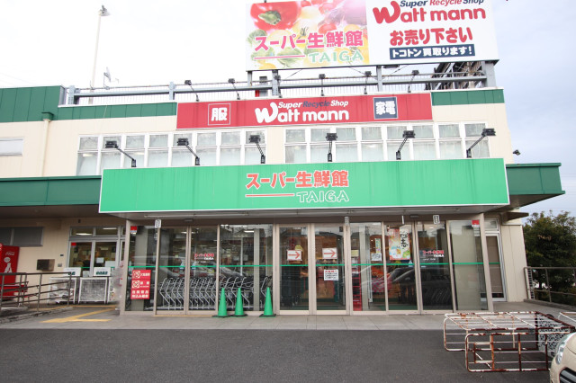 スーパー　生鮮館ＴＡＩＧＡ石川店（スーパー）まで800m