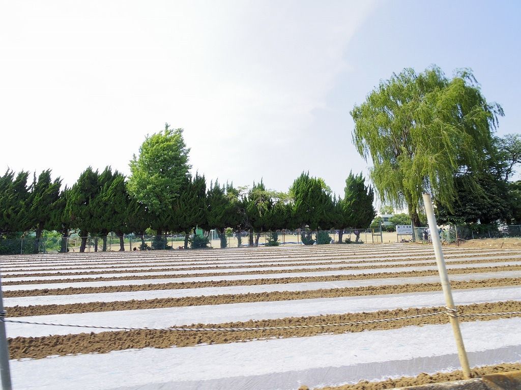 中学校　朝霞市立朝霞第二中学校（中学校）まで1114m
