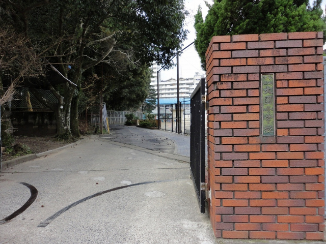小学校　長崎市立大園小学校（小学校）まで557m