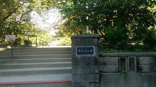 公園　中大江公園（公園）まで784m