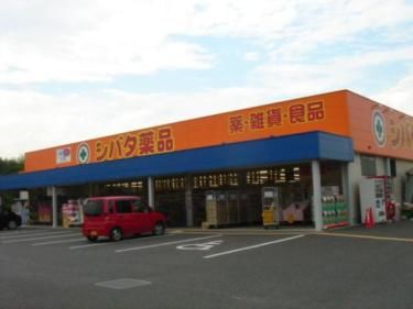 ドラックストア　シバタ薬品住吉店（ドラッグストア）まで835m