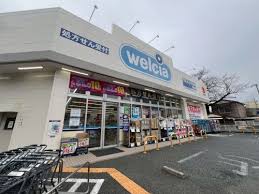 ドラックストア　ウエルシア練馬向山店（ドラッグストア）まで872m