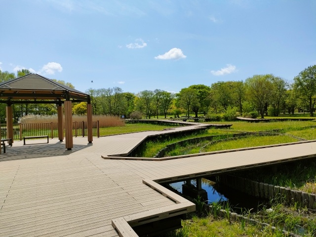 その他　舎人公園（その他）まで4443m