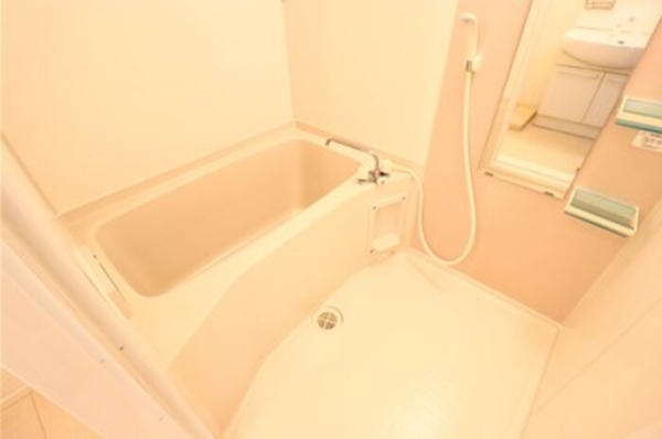バス・シャワールーム　同建物別部屋写真