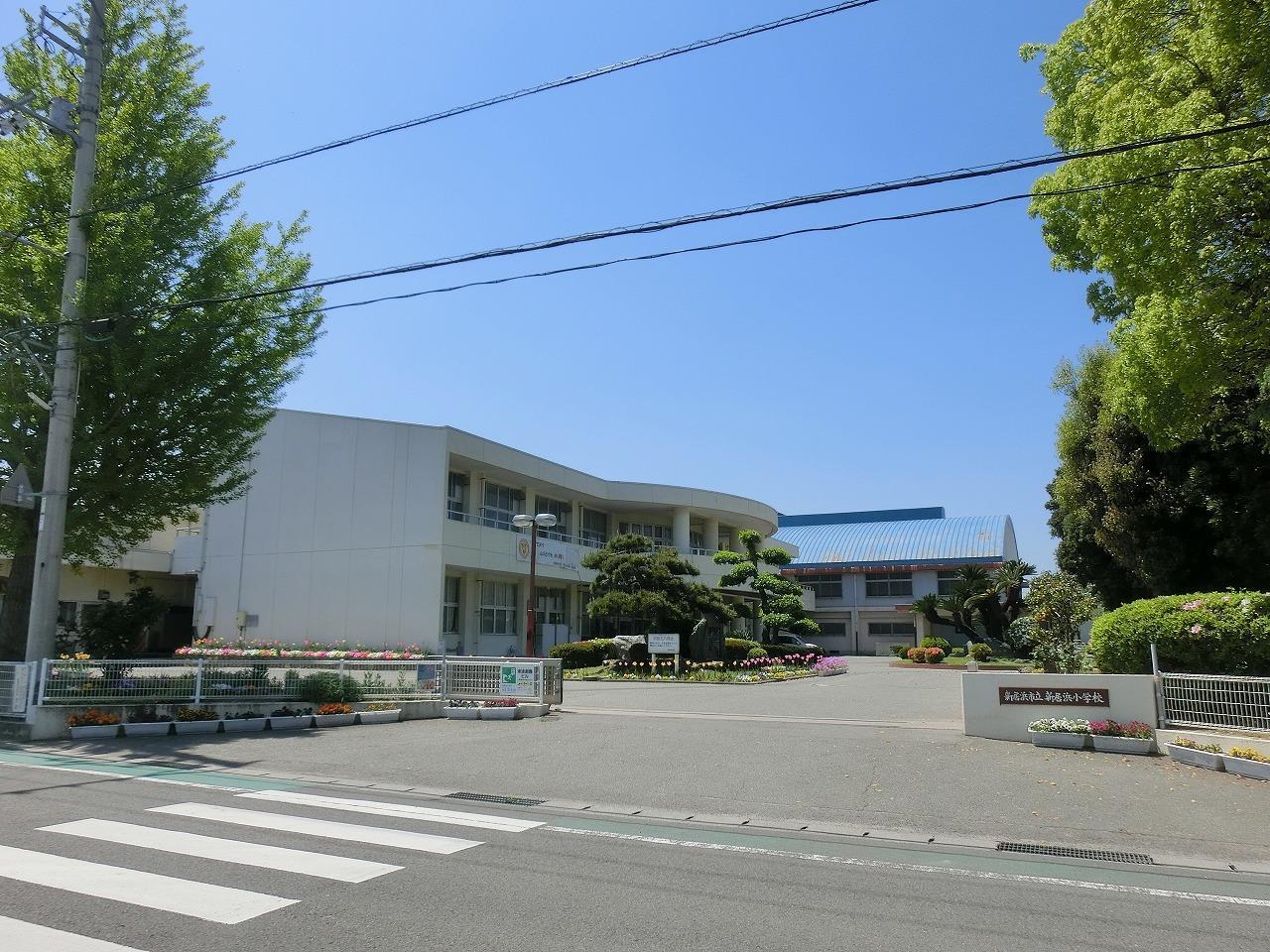 小学校　新居浜市立新居浜小学校（小学校）まで600m