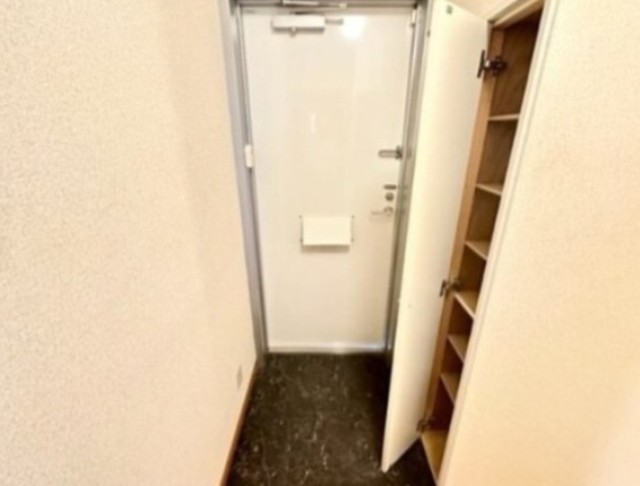 玄関　同仕様タイプ