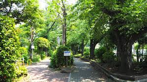 公園　南砂緑道公園（公園）まで737m