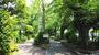 公園　南砂緑道公園（公園）まで737m