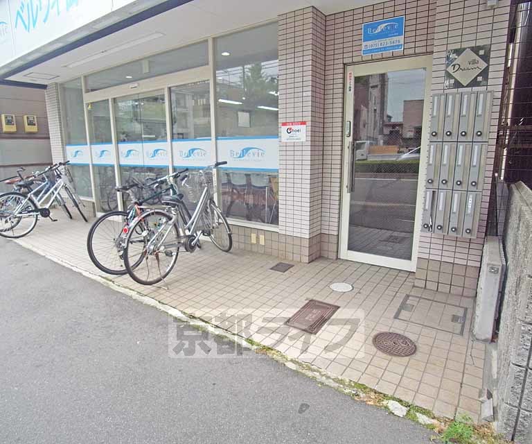 庭