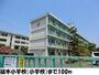 小学校　篠木小学校（小学校）まで100m